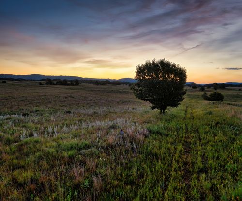 Free Idyllic countryside field in Minnesota with a lone tree under a vibrant sunset sky. Stock Photo