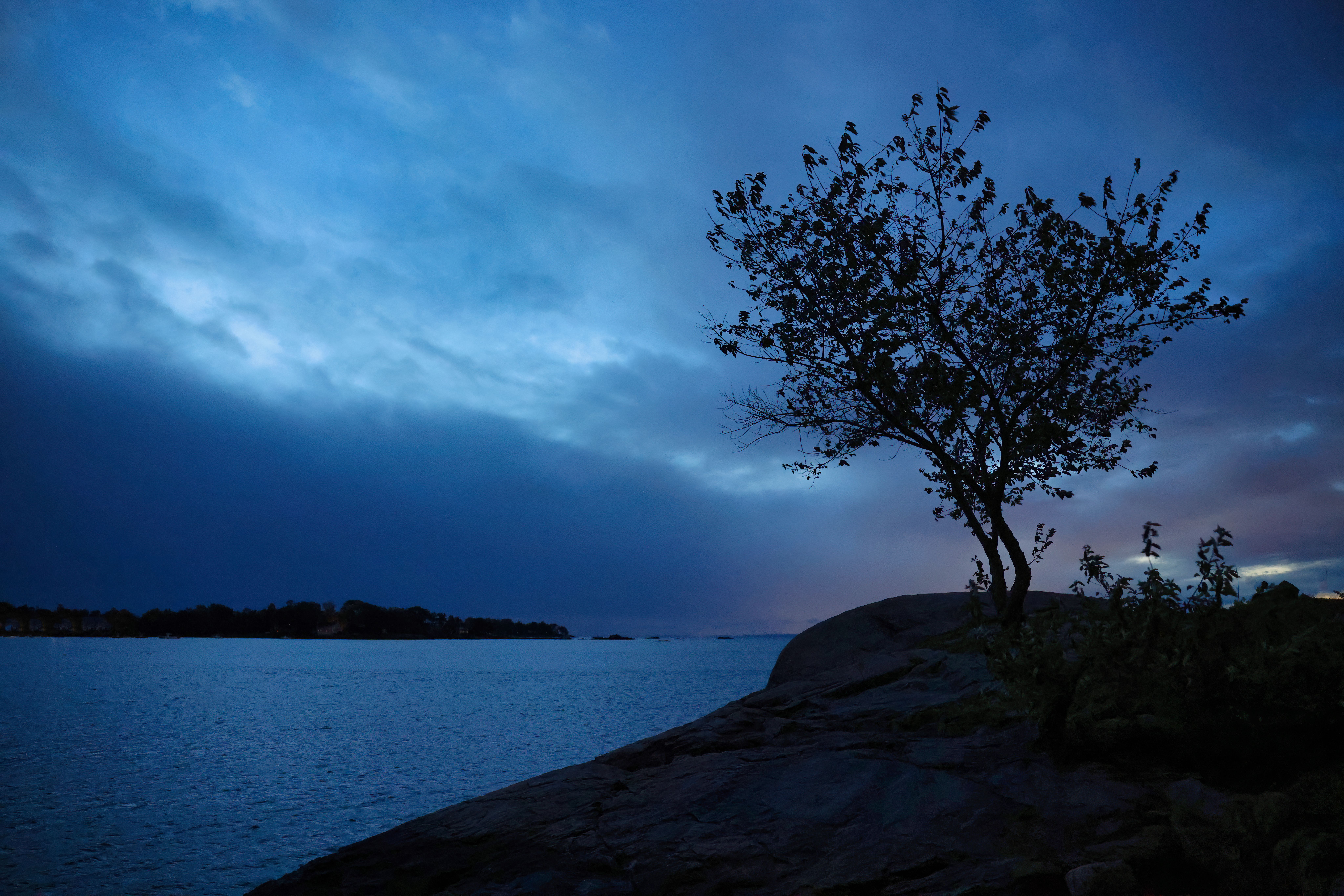 A Tree on the Side of the River Under Evening Sky · Free Stock Photo