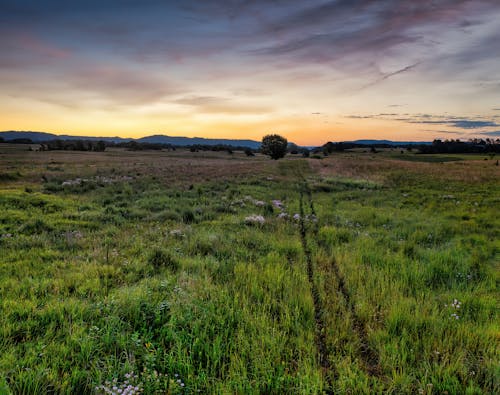 乾草地, 地平線, 日落 的 免费素材图片