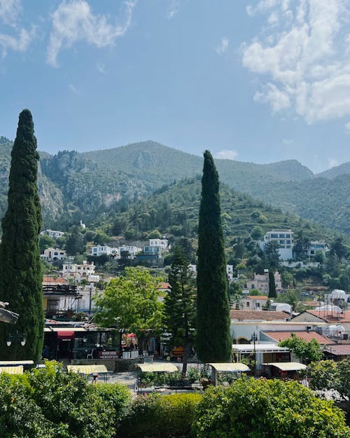 Village with Mountains in the Distance 