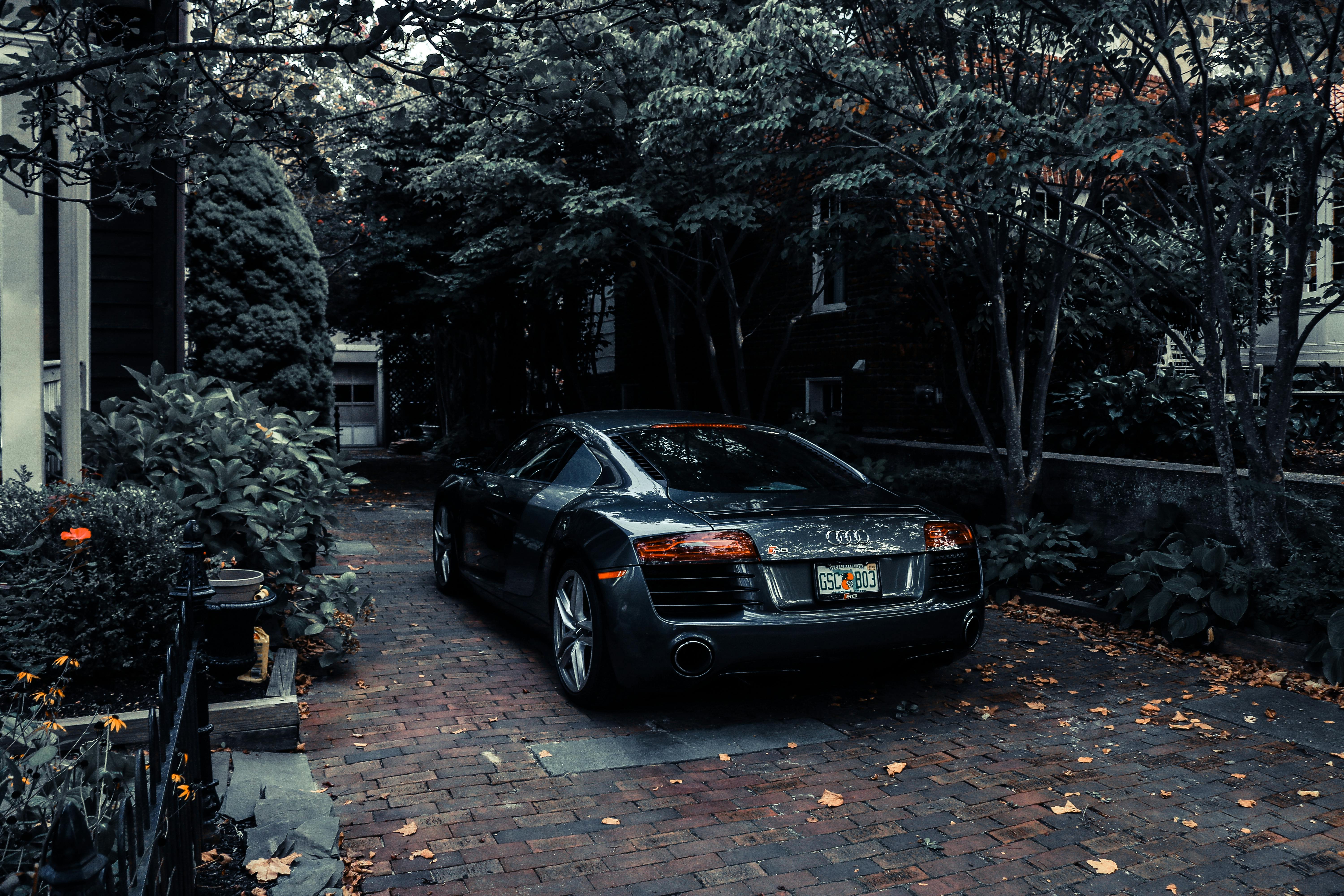 Black car parked near the trees | Photo: Pexels