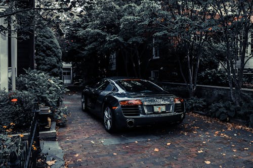 Free Photo of Audi Parked near Trees Stock Photo