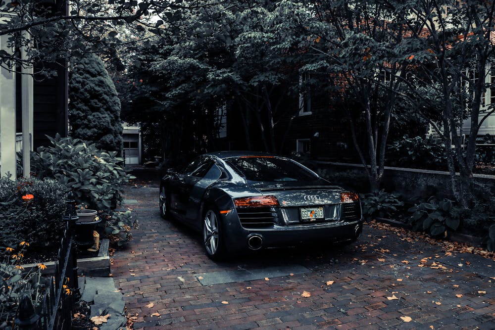 Black car parked near the trees | Photo: Pexels