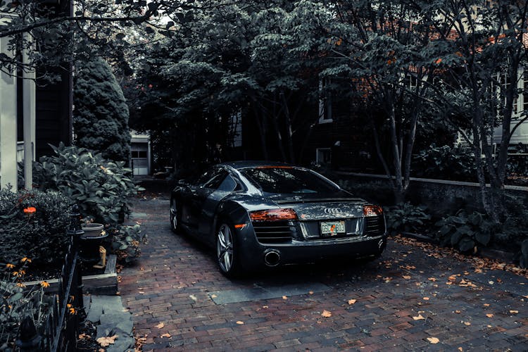 Photo Of Audi Parked Near Trees