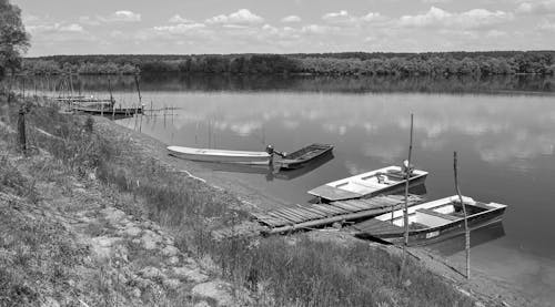 Foto profissional grátis de barcos, cais, cênico