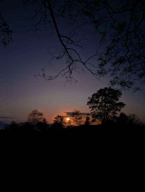 Free stock photo of at night, crescent moon, dark night
