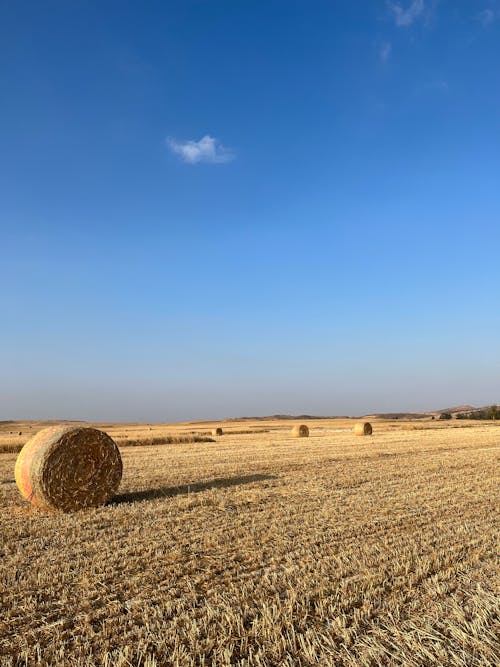 Bales on Wheat Field Under Blue Sky