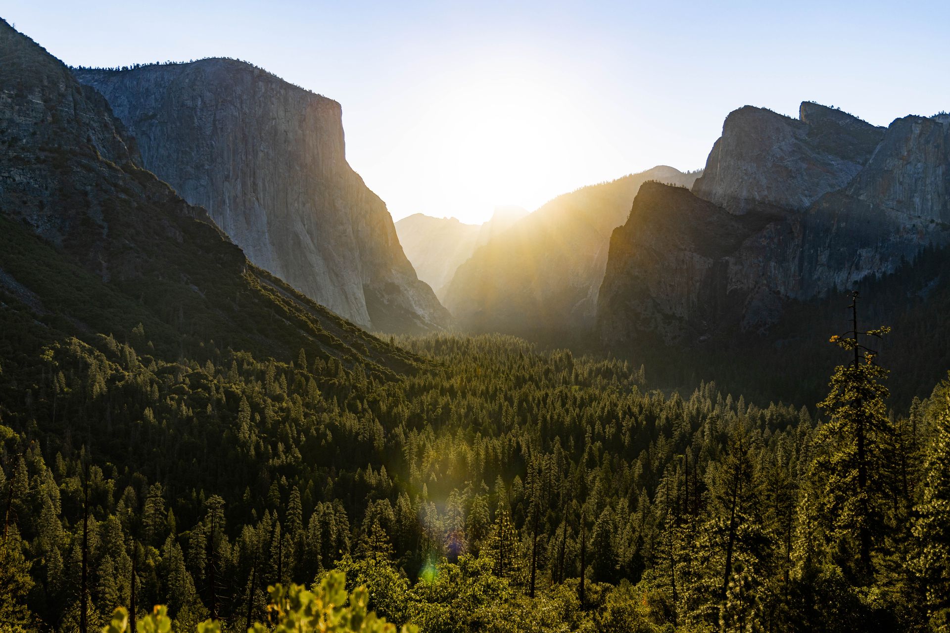 Landscape in Yosemite National Park