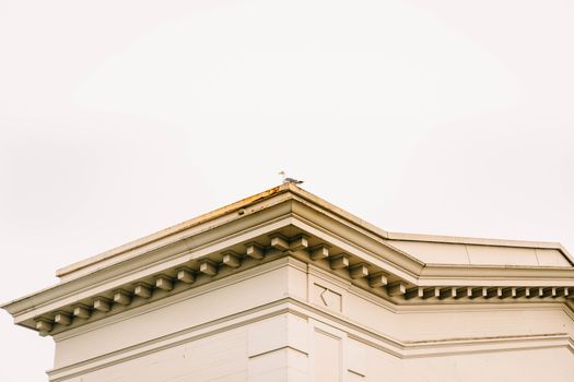 A Bird Perched on the Roof of White Building