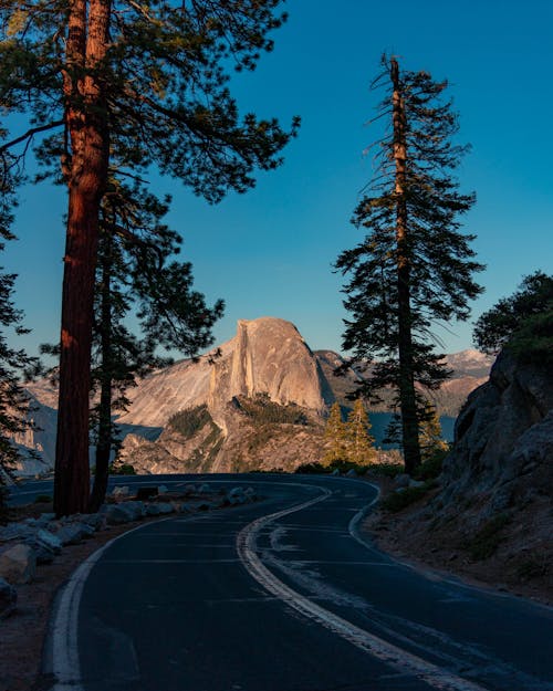 Foto d'estoc gratuïta de arbres, asfalt, carretera