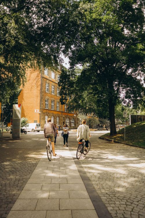 Free Two cyclists ride on a cobblestone path in a leafy park in Hamburg, Germany. Stock Photo