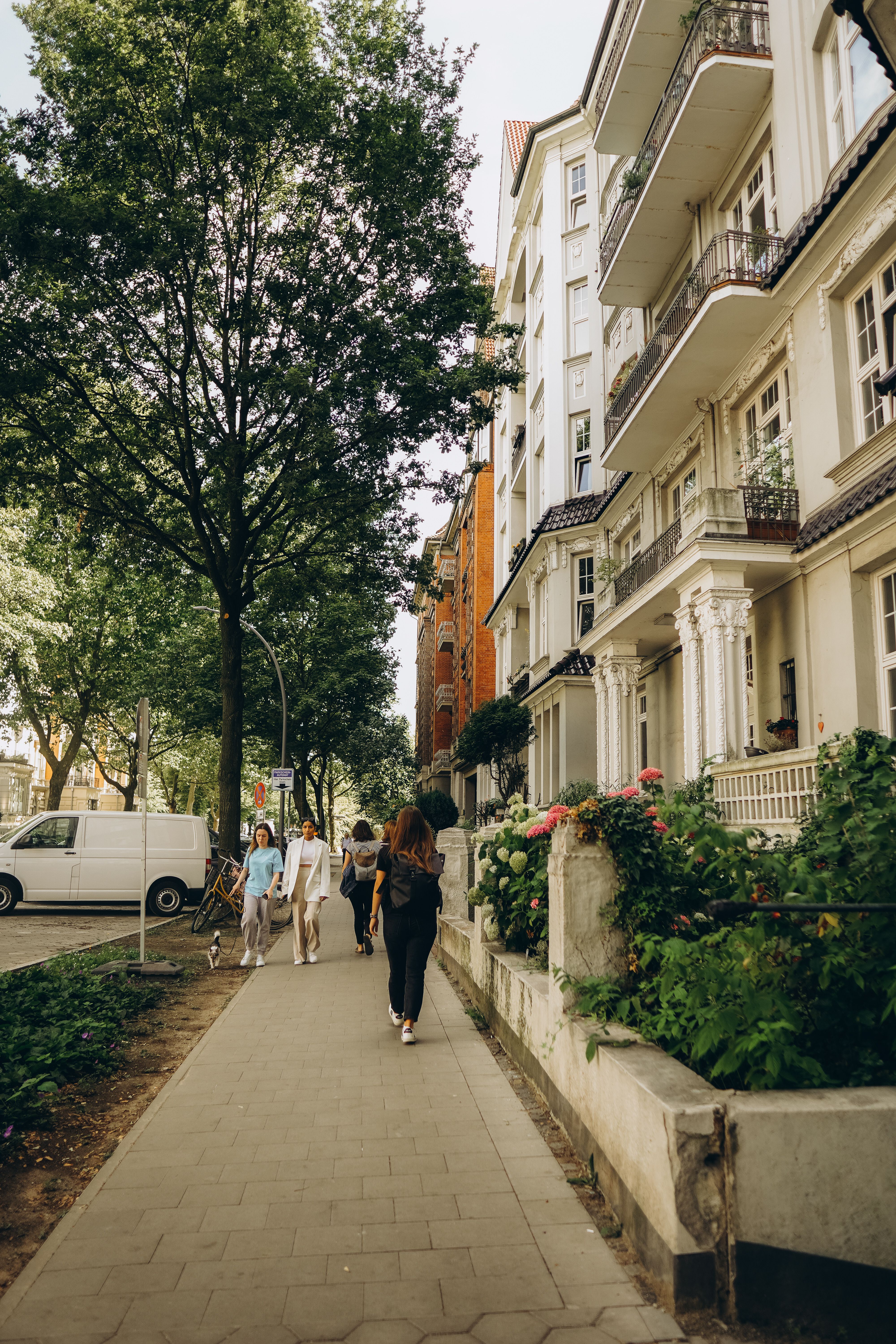 People walking on tree-lined sidewalk near historic buildings on a sunny day.