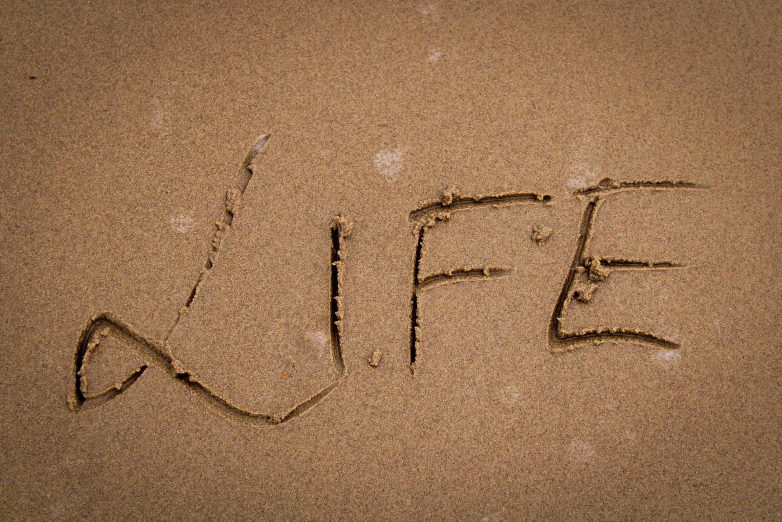 Change Champions - Navigating Major Life Transitions