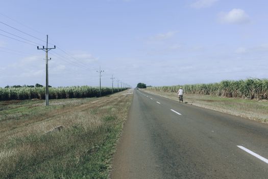 Person Riding a Bike Along an Asphalt Road Between Agricultural Land