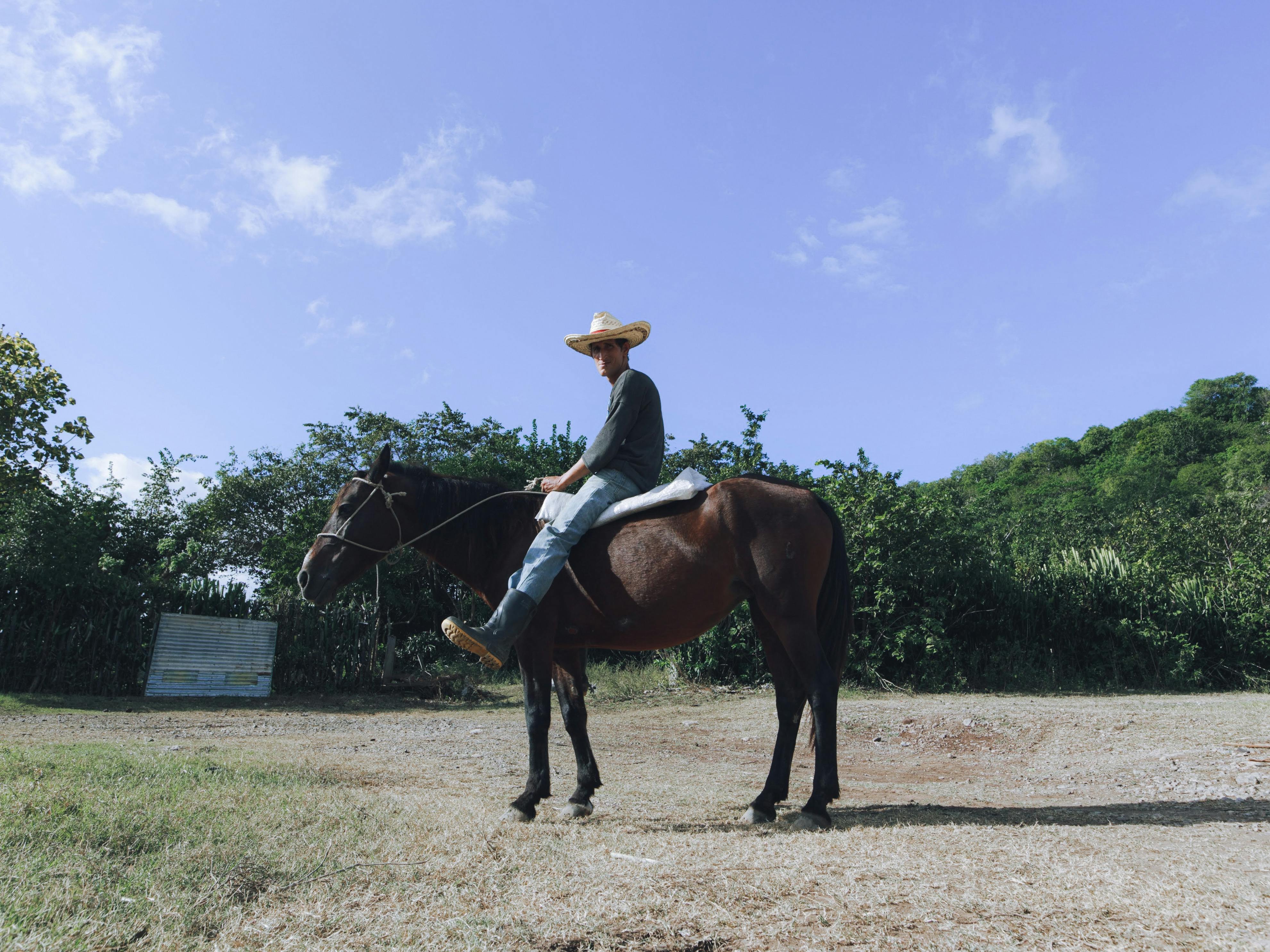 cowboy riding a brown horse