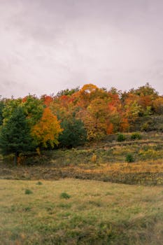 Stunning autumn landscape capturing colorful foliage in Vallcebre, Catalonia.