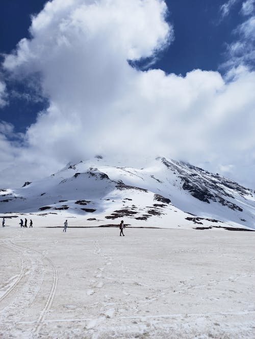 Immagine gratuita di coperto di neve, fotografia della natura, innevato