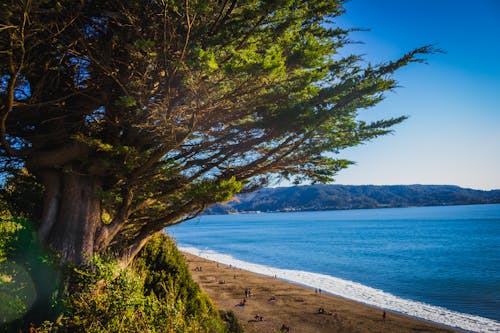 Foto d'estoc gratuïta de mare naturalesa, primavera