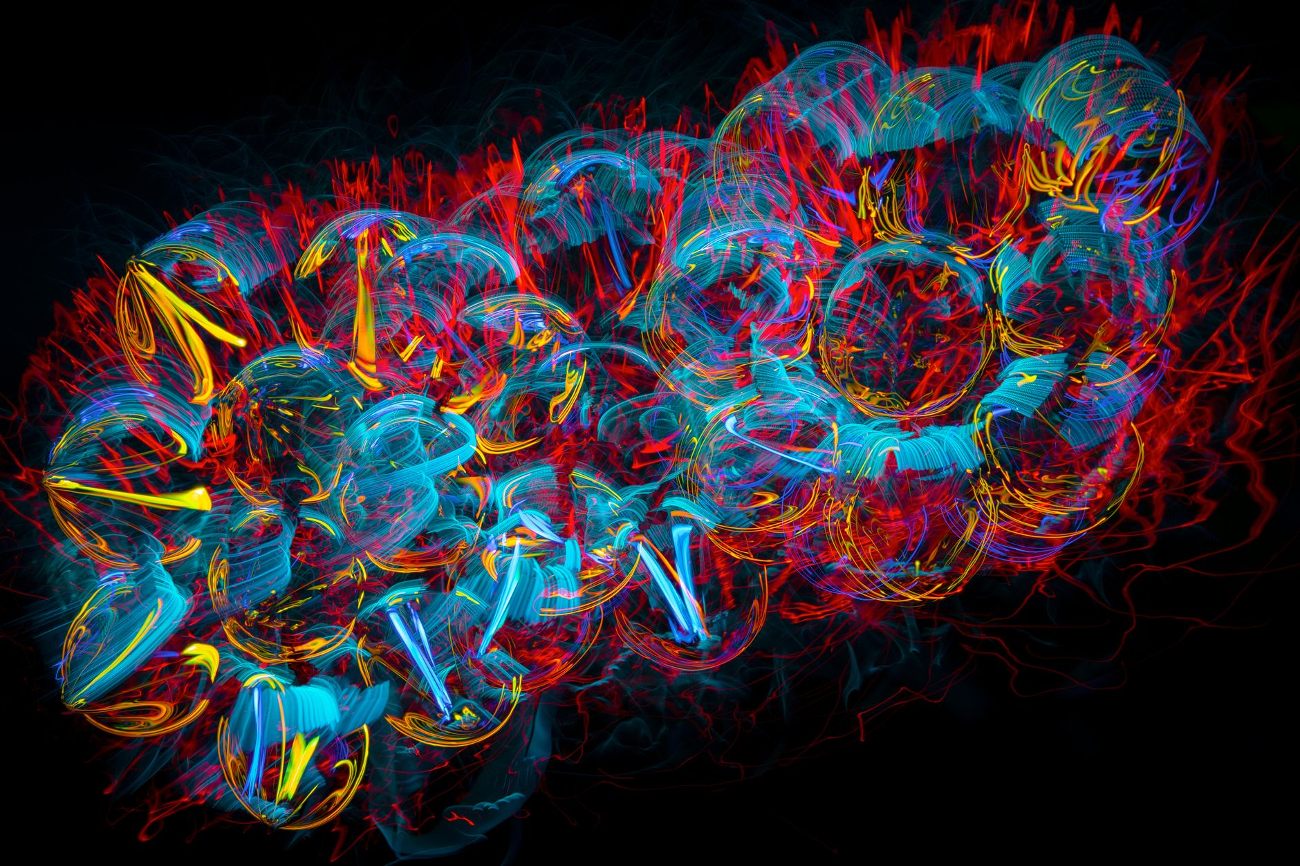 Jellyfish colony polyp stage — Curiosidades
