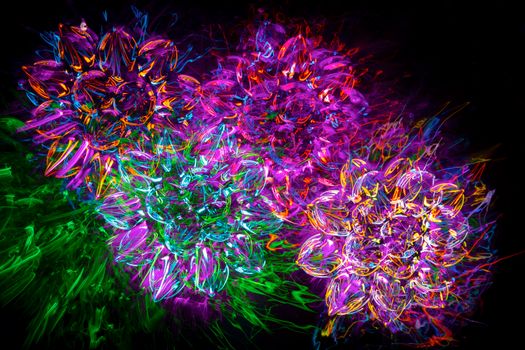 Colorful neon abstract flower design glowing on a black backdrop.