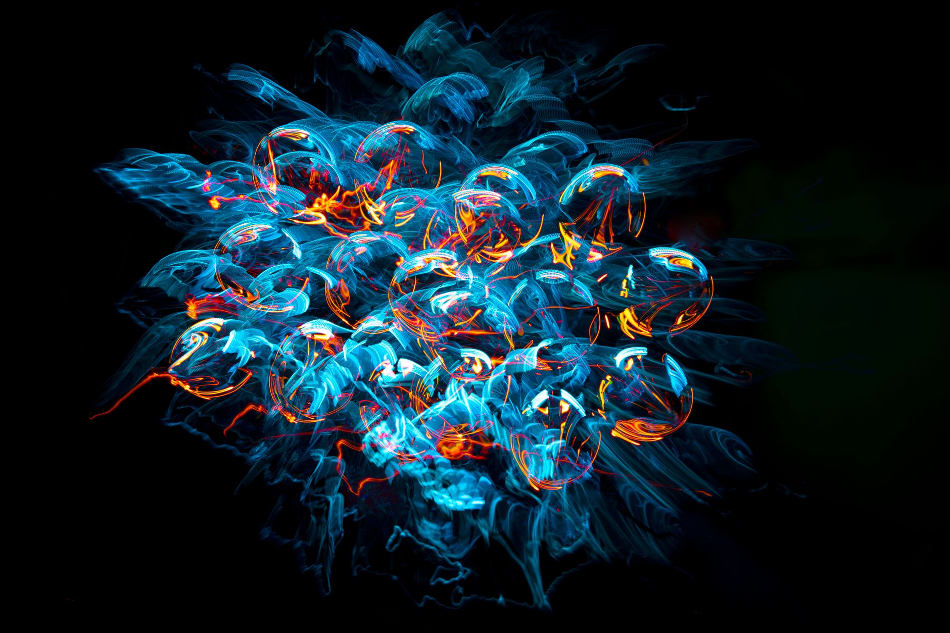 Deep sea anglerfish bioluminescence — Curiosidades