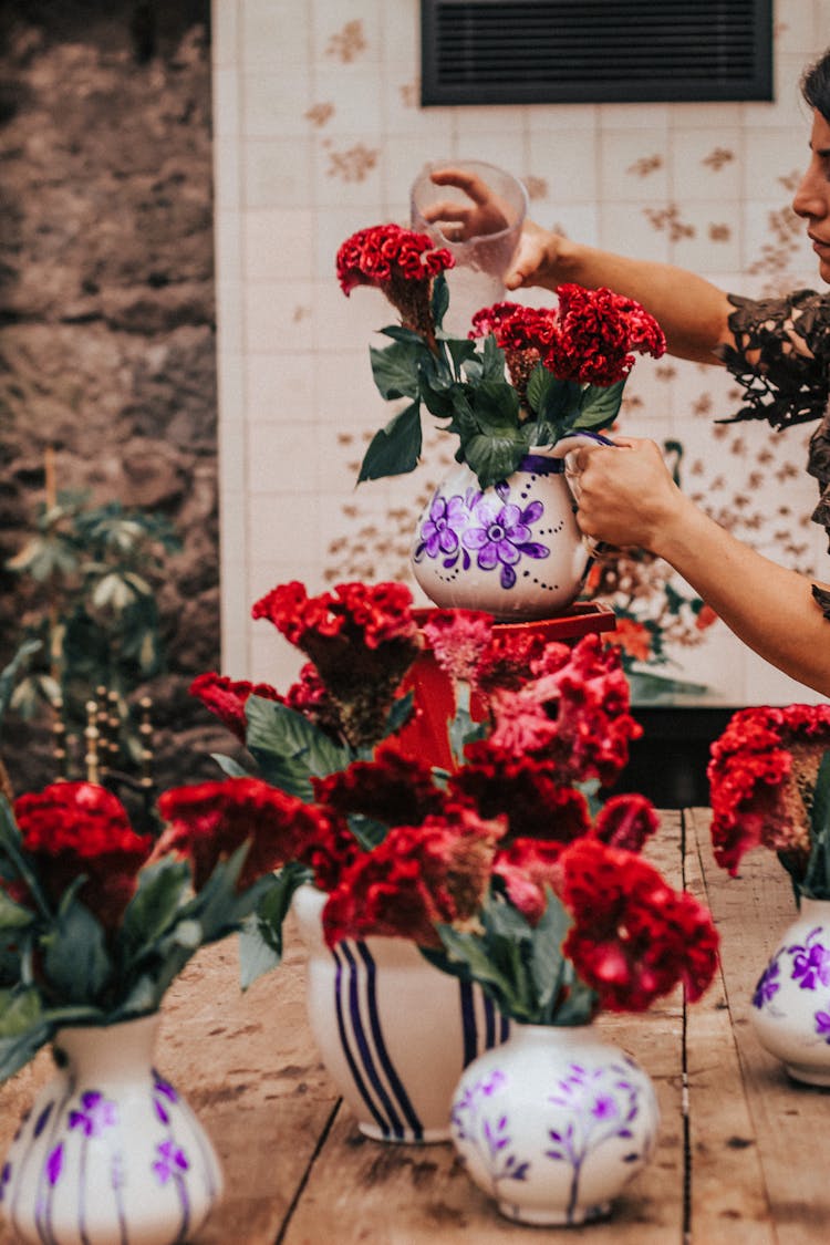 Woman Watering Flowers On Vases