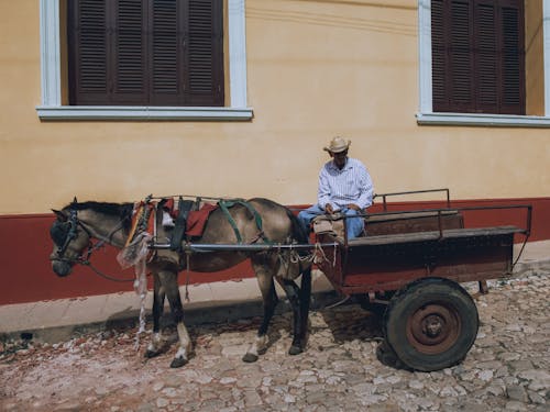 Coachman Sitting on Horse-Drawn Cart