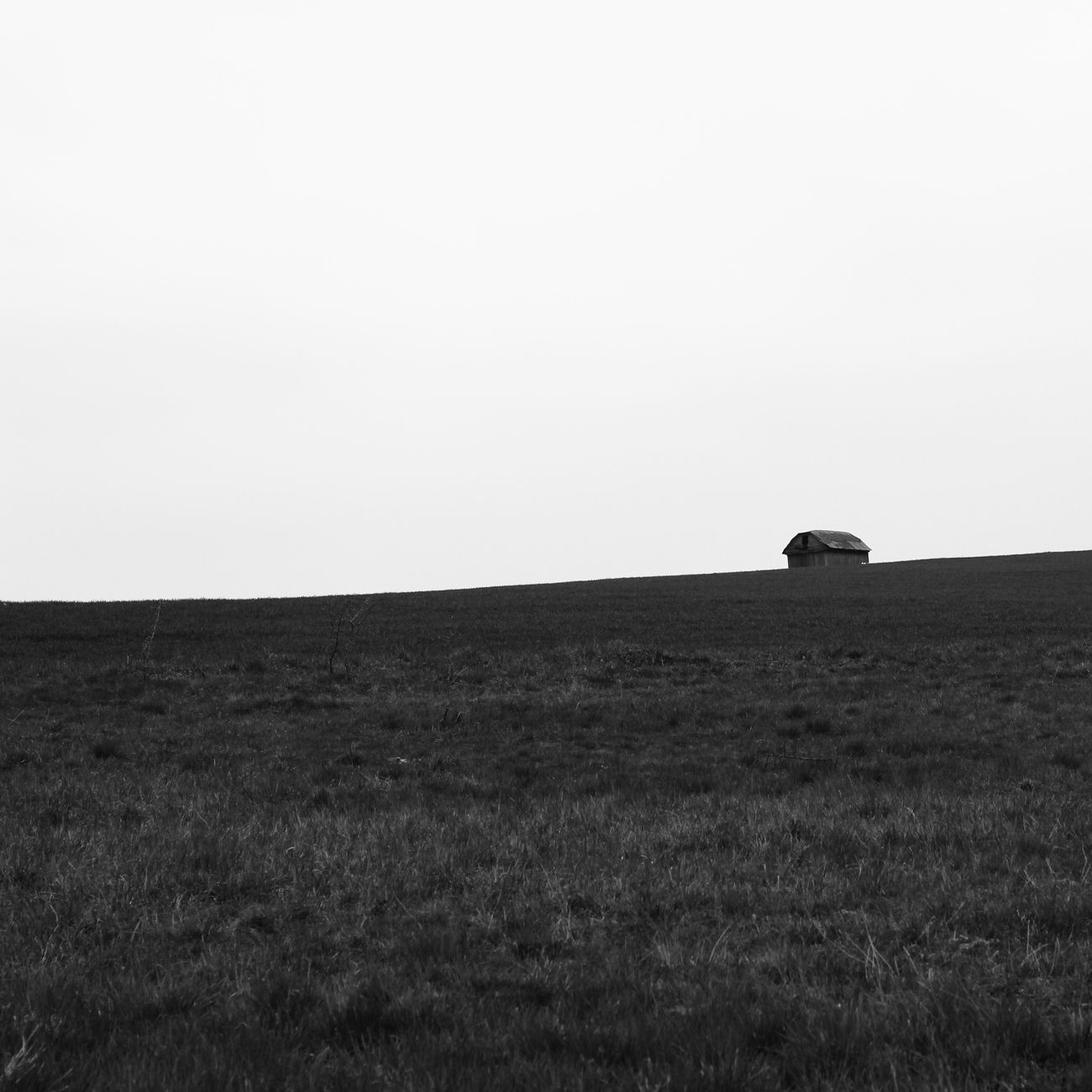Black and white image of a solitary hut on a vast empty field, evoking solitude and serenity.