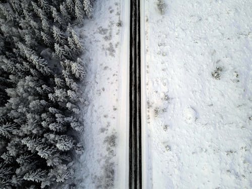 Kostenloses Stock Foto zu bäume, drohne erschossen, kalt