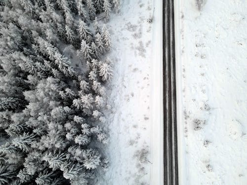 Безкоштовне стокове фото на тему «Аерофотозйомка, дерева, дорога»