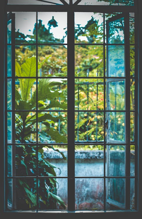 Free Open Black Metal Framed Clear Glass Window Near Plants Stock Photo