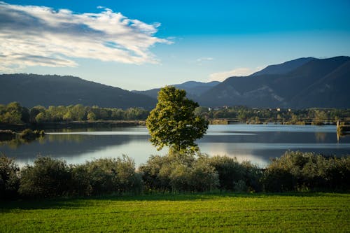 Body of Water Near Mountains