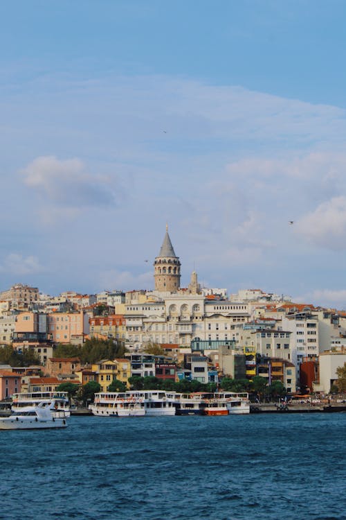 Istanbul Hill with the Galata Tower
