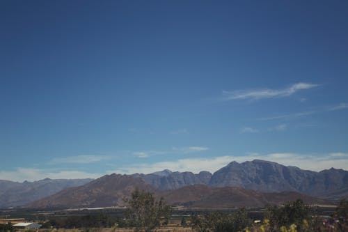 Δωρεάν στοκ φωτογραφιών με Cape town, εξερευνώ, Νότια Αφρική