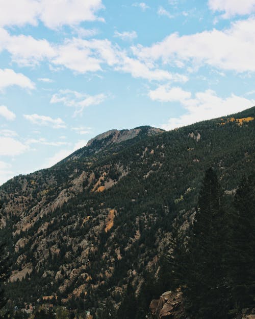 Free stock photo of colorado, colorado mountains, fall