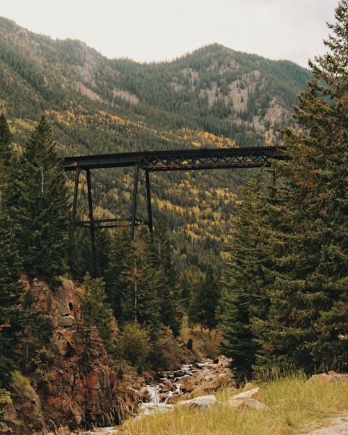 Bridge Above a Valley