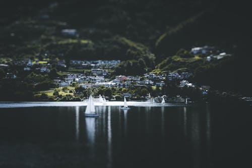 Fotos de stock gratuitas de agua de lago, cambio de inclinación, lado del lago