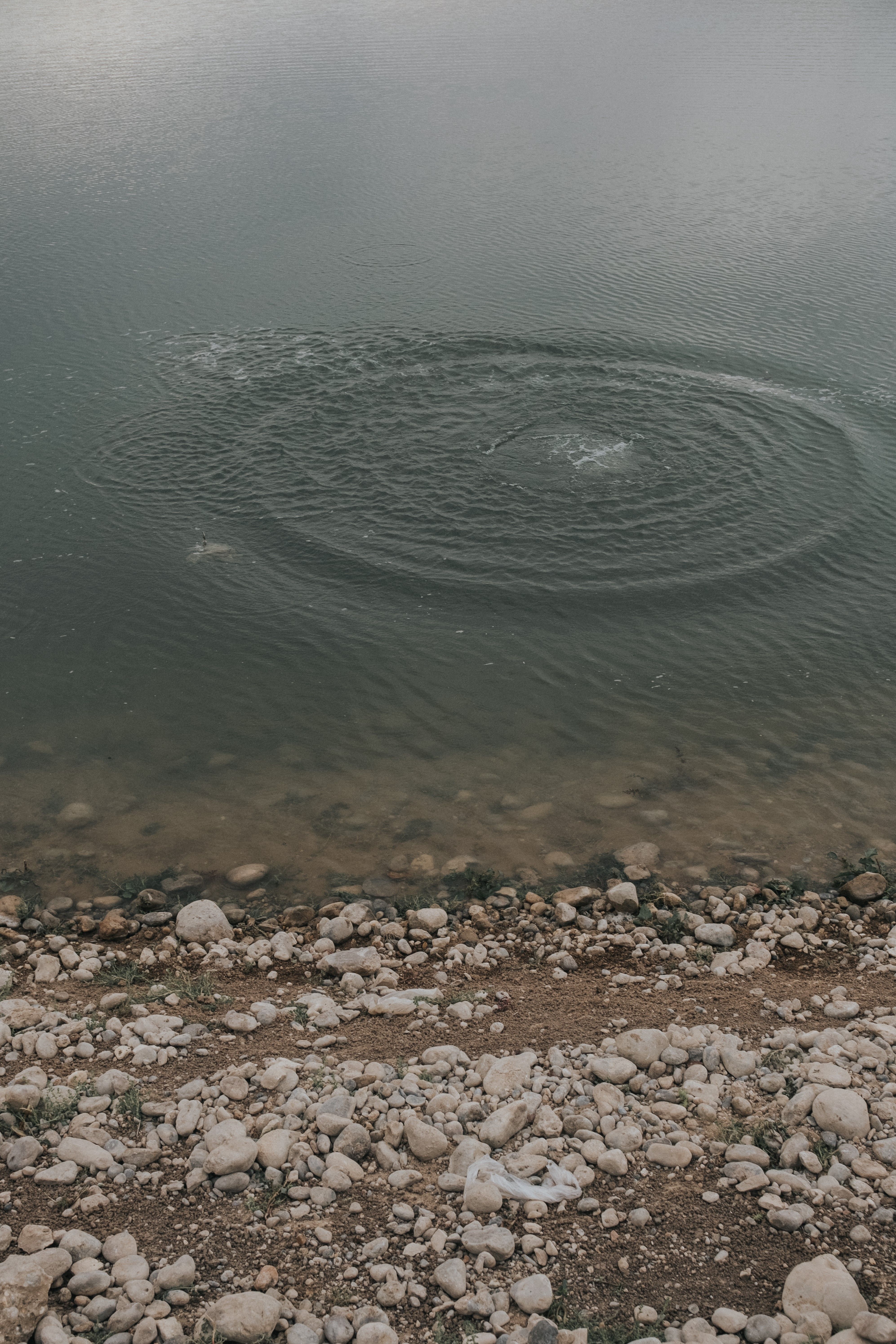 Ripples on the Water in the River · Free Stock Photo