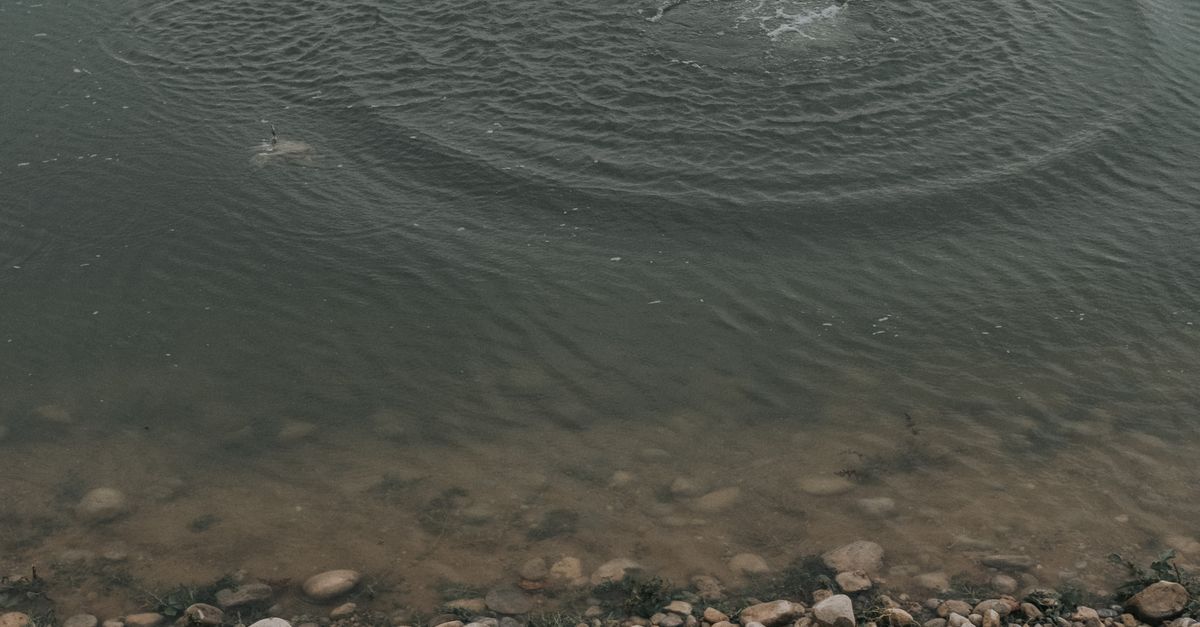River Bank Ripples Ripples on the Water in the River · Free Stock Photo