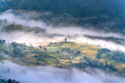 Fog on Green Fields and Green Mountains