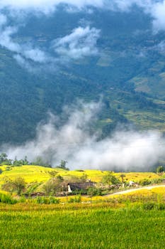 Vibrant countryside scene with fog rolling over green fields and distant hills.