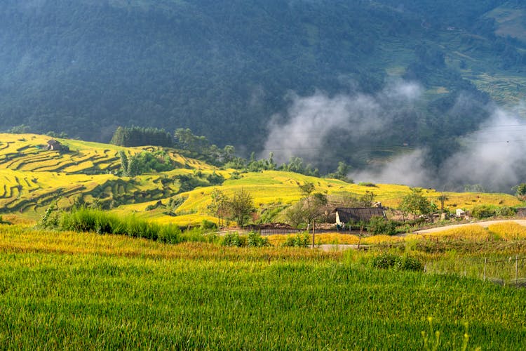 Scenic View Of A Rural Landscape