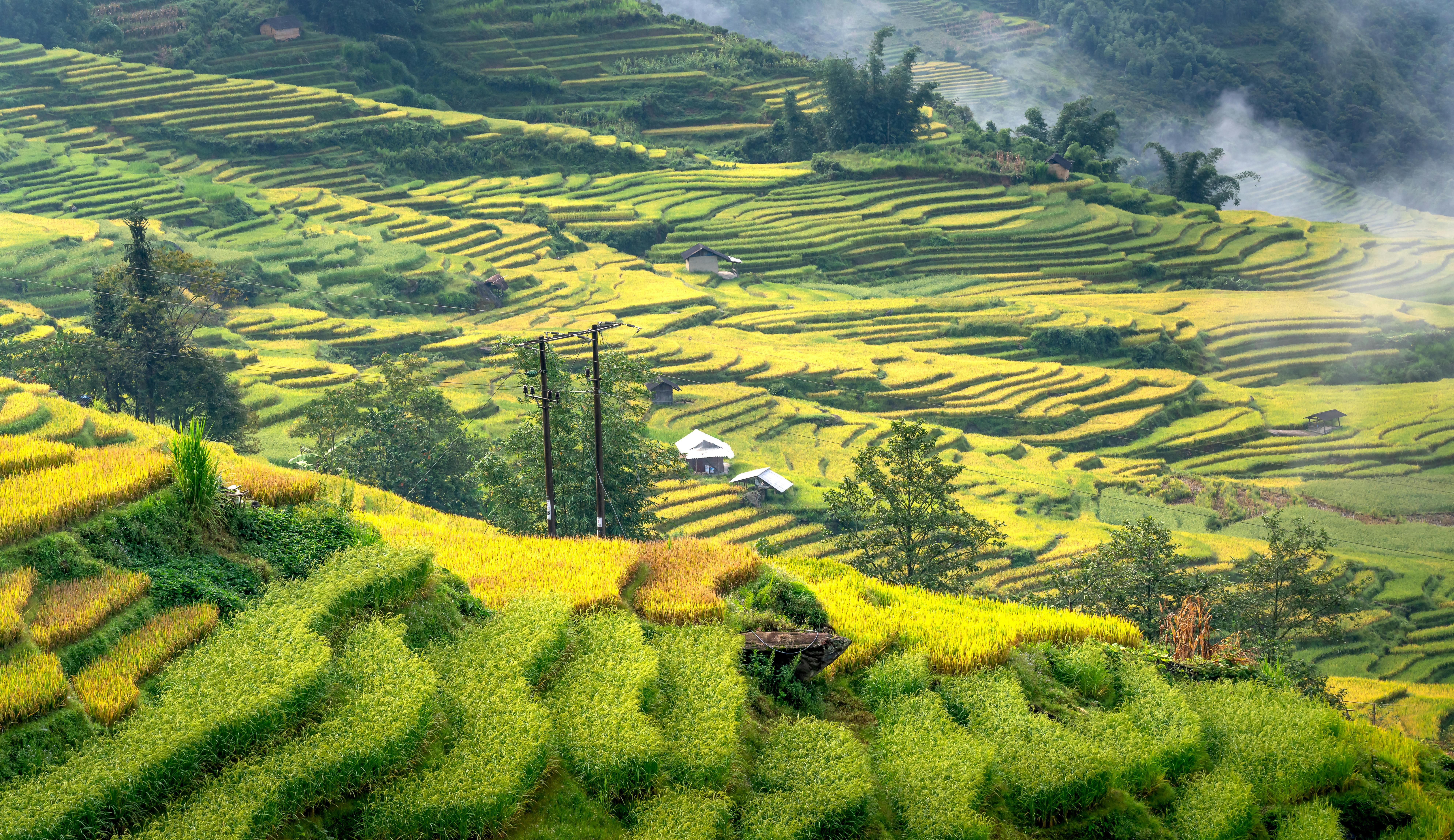 Building on the Terrace Rural Field · Free Stock Photo