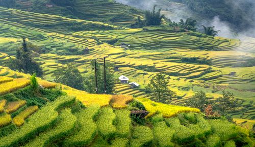 Free Breathtaking view of lush green terraced rice fields with misty hills in the background. Stock Photo