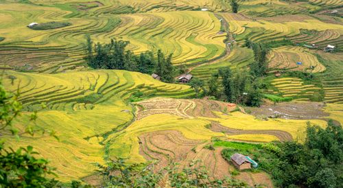 Free A breathtaking aerial view of rice terraces in a lush rural countryside showcasing vibrant greenery. Stock Photo