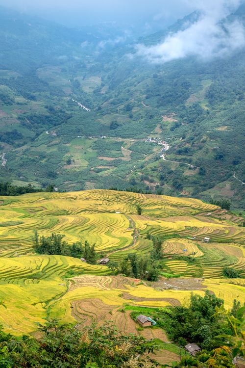 Scenic Rice Terraces in Hà Giang, Vietnam · Free Stock Photo