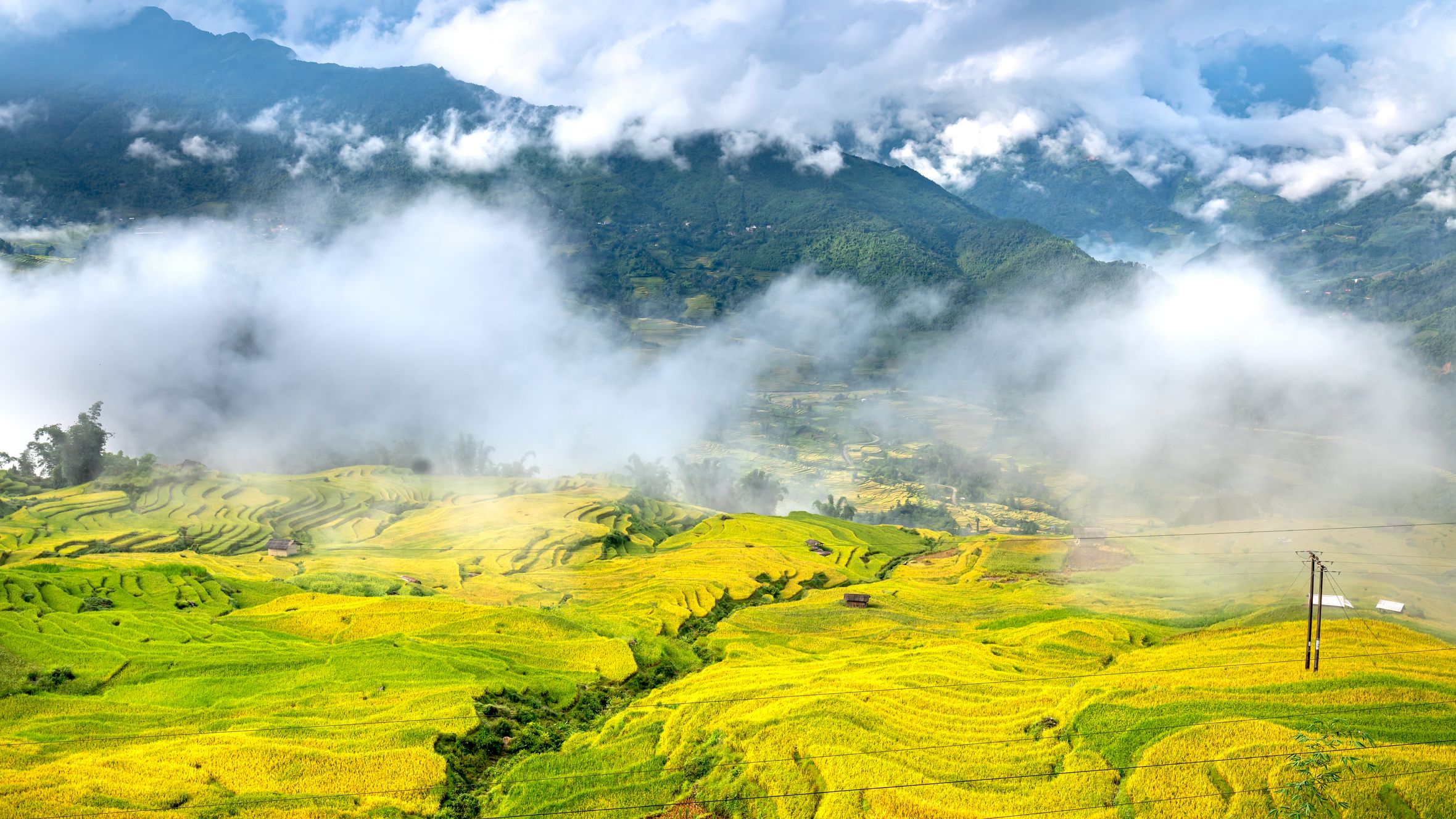 Lush rice terraces stretch across vibrant green mountains shrouded in mist.