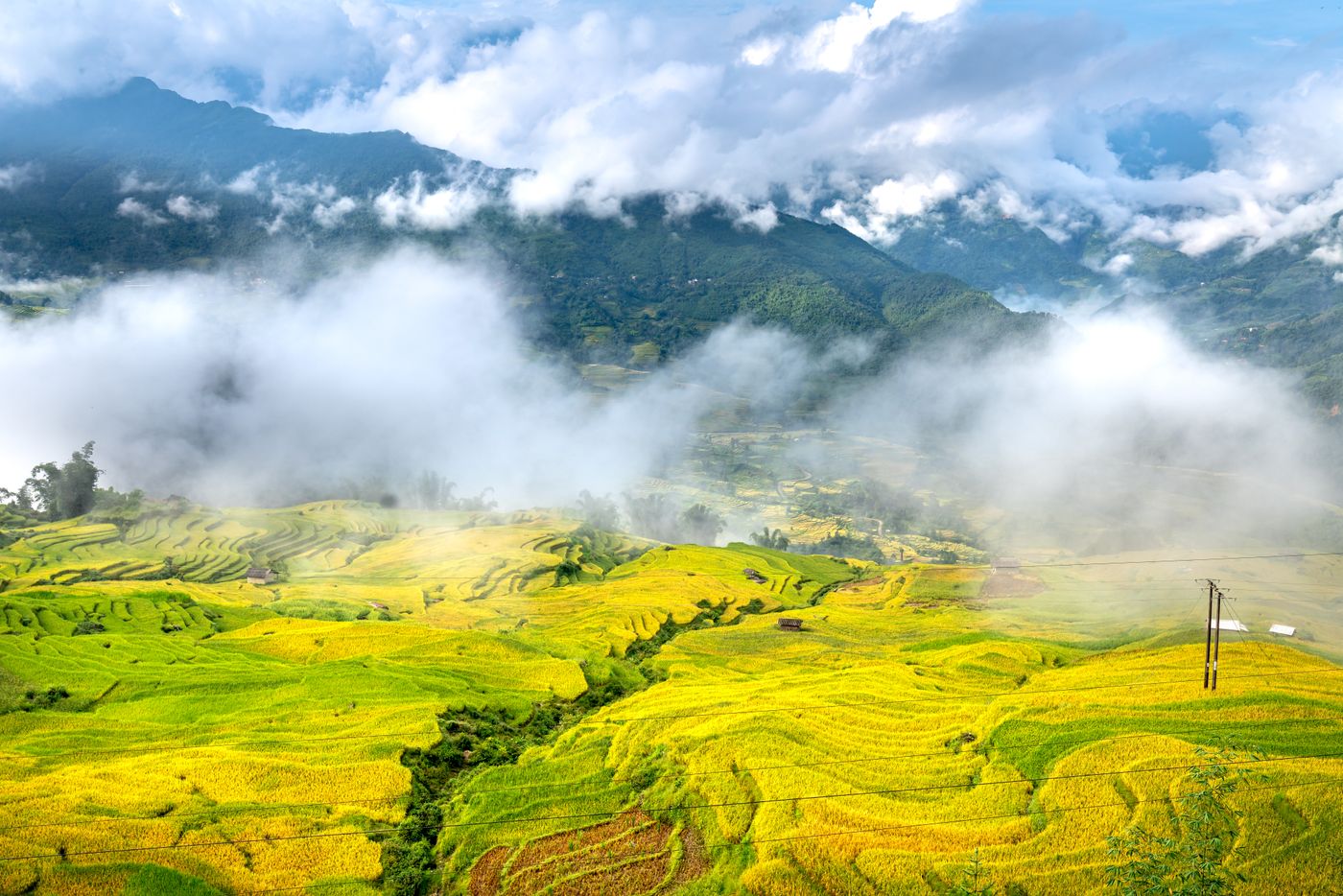 Morning fog drifting over green rice terraces