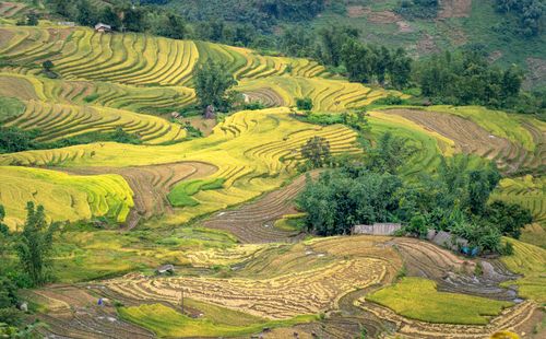 Free Stunning aerial image of lush green rice terraces in a mountainous and rural landscape. Stock Photo