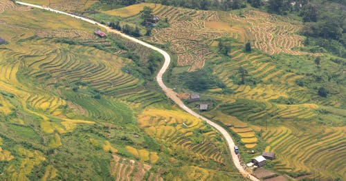 航空攝影, 路, 農村 的 免費圖庫相片